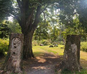 Heddon's Valley