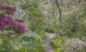 Greencombe Gardens