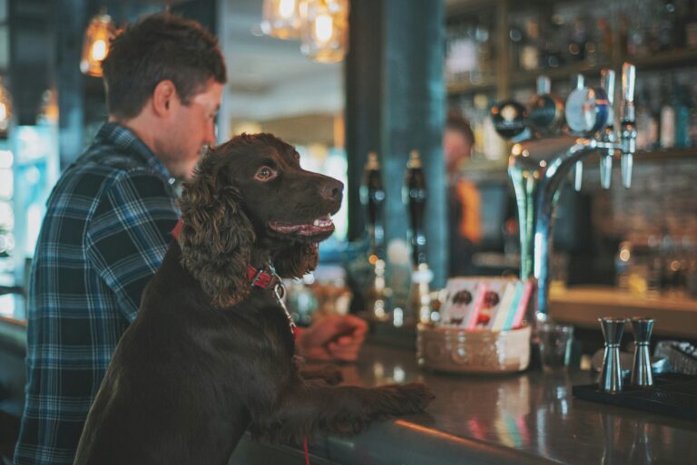 dog friendly pubs in exmoor