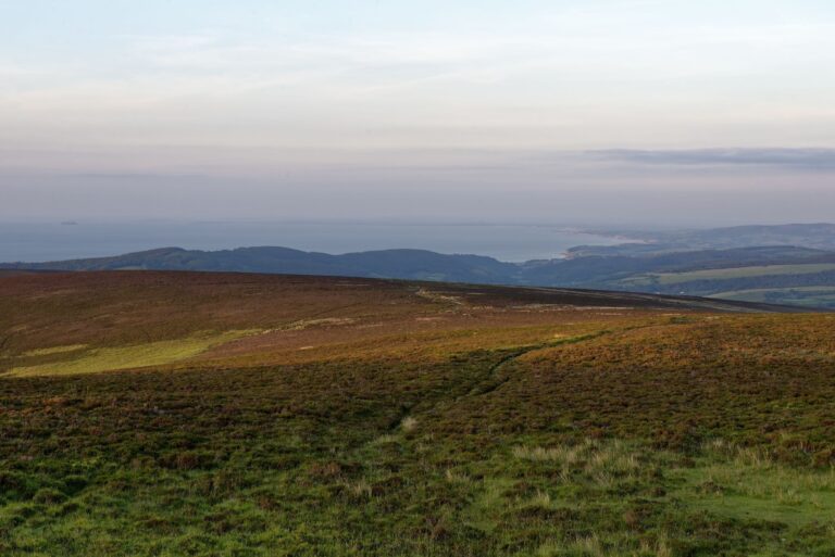 Walks, Wildlife & Sweeping Beaches in Exmoor